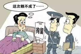 镇原企业清欠服务